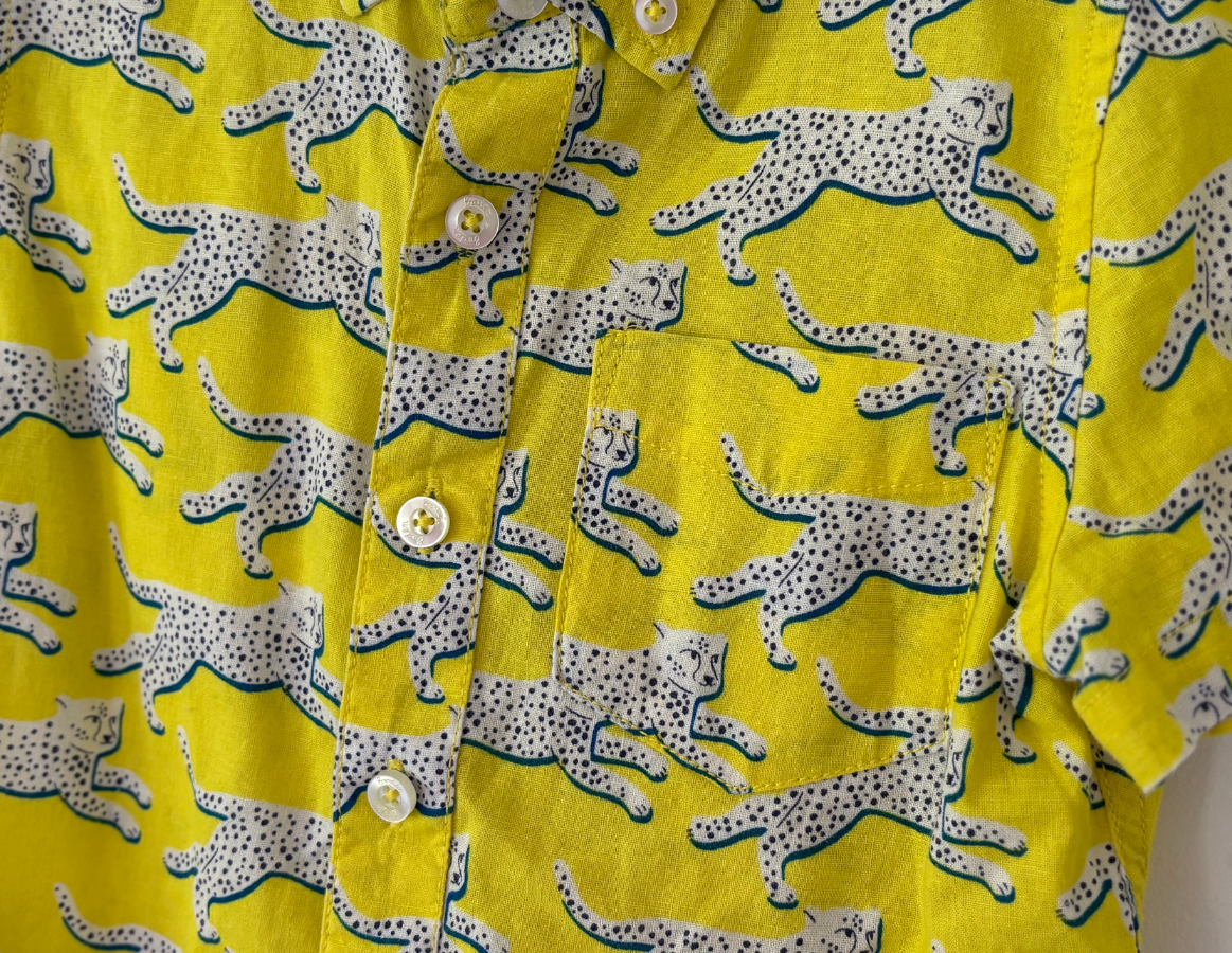 Mini Boden Printed Shirt