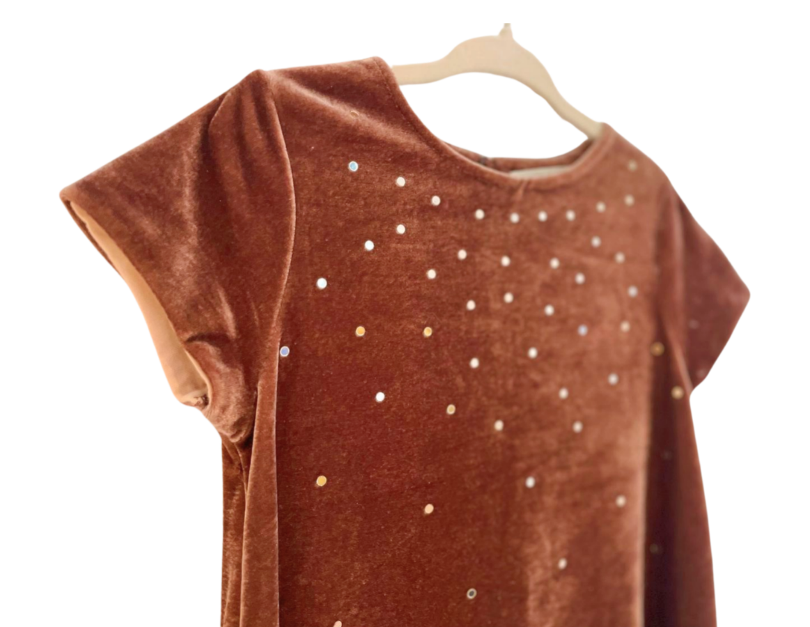 Zara Velour Sequined Shift Party Dress