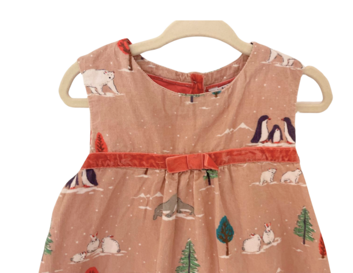 Mini Boden Winter Print Dress