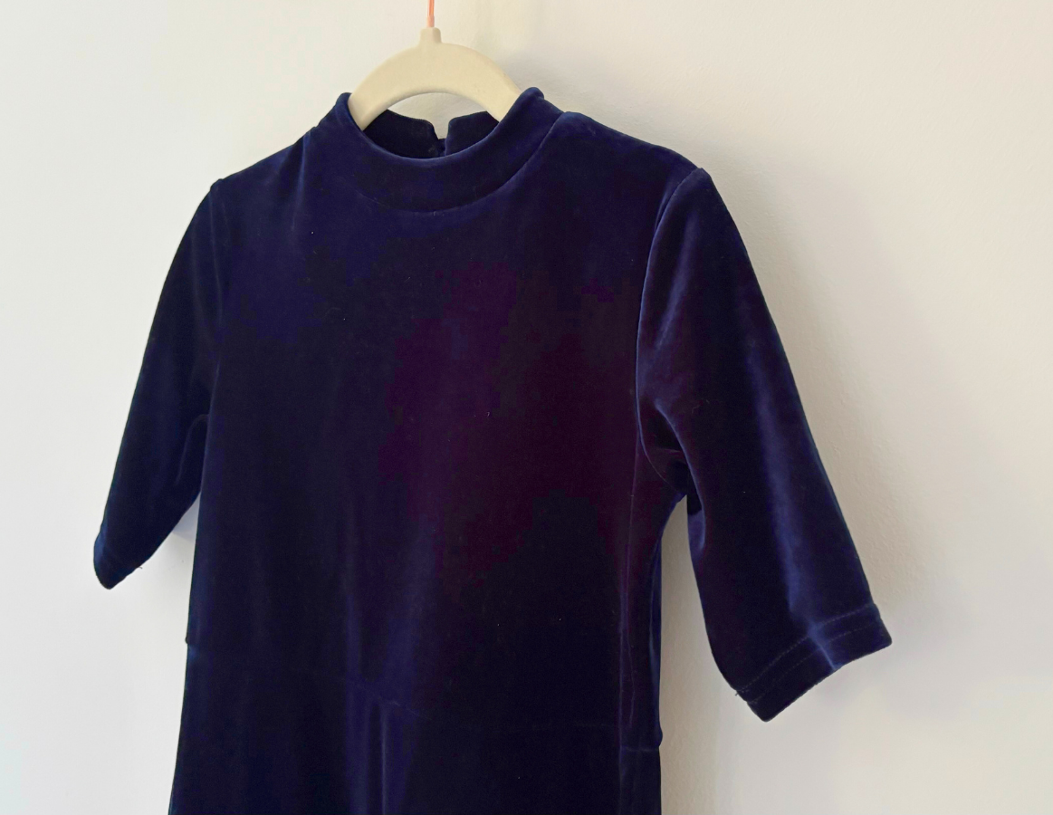 Next Velour Party Dress
