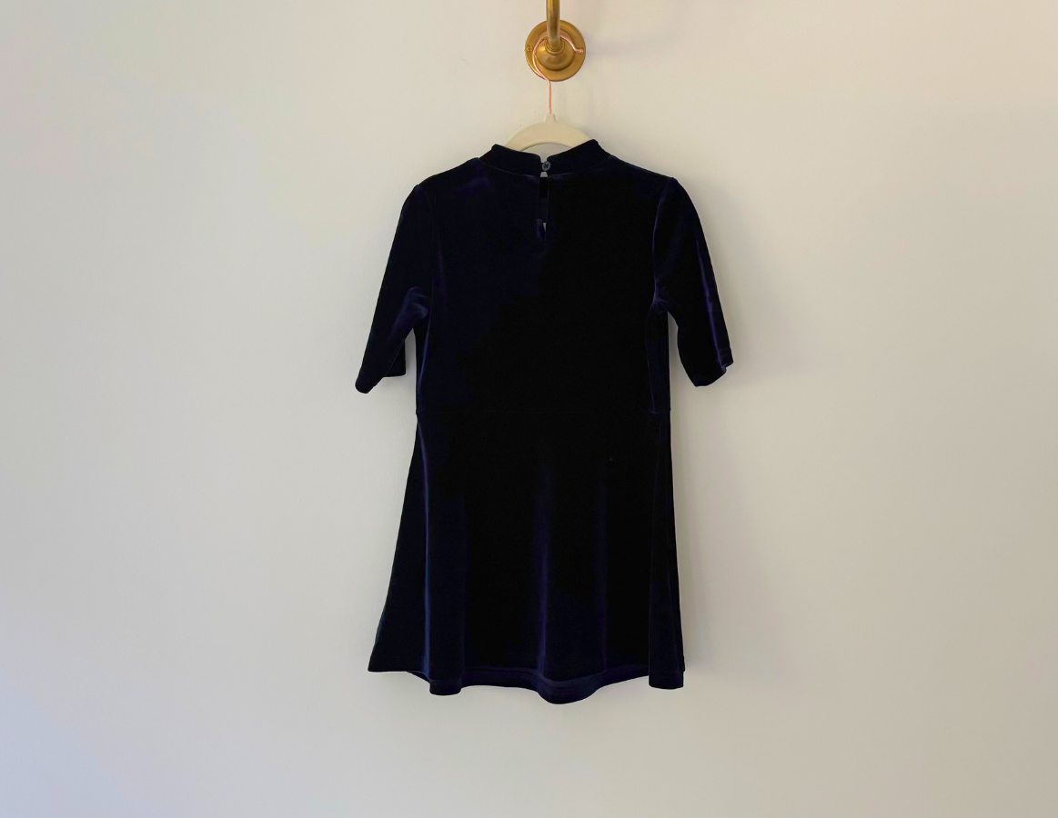 Next Velour Party Dress