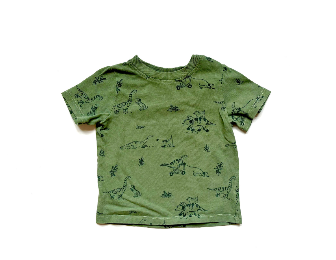 Dino Boy - Boys Spring/Summer Selection 9-12m