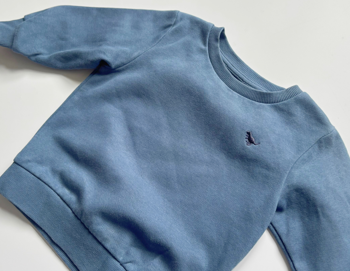 Next blue tracksuit