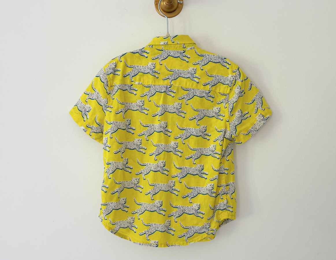 Mini Boden Printed Shirt