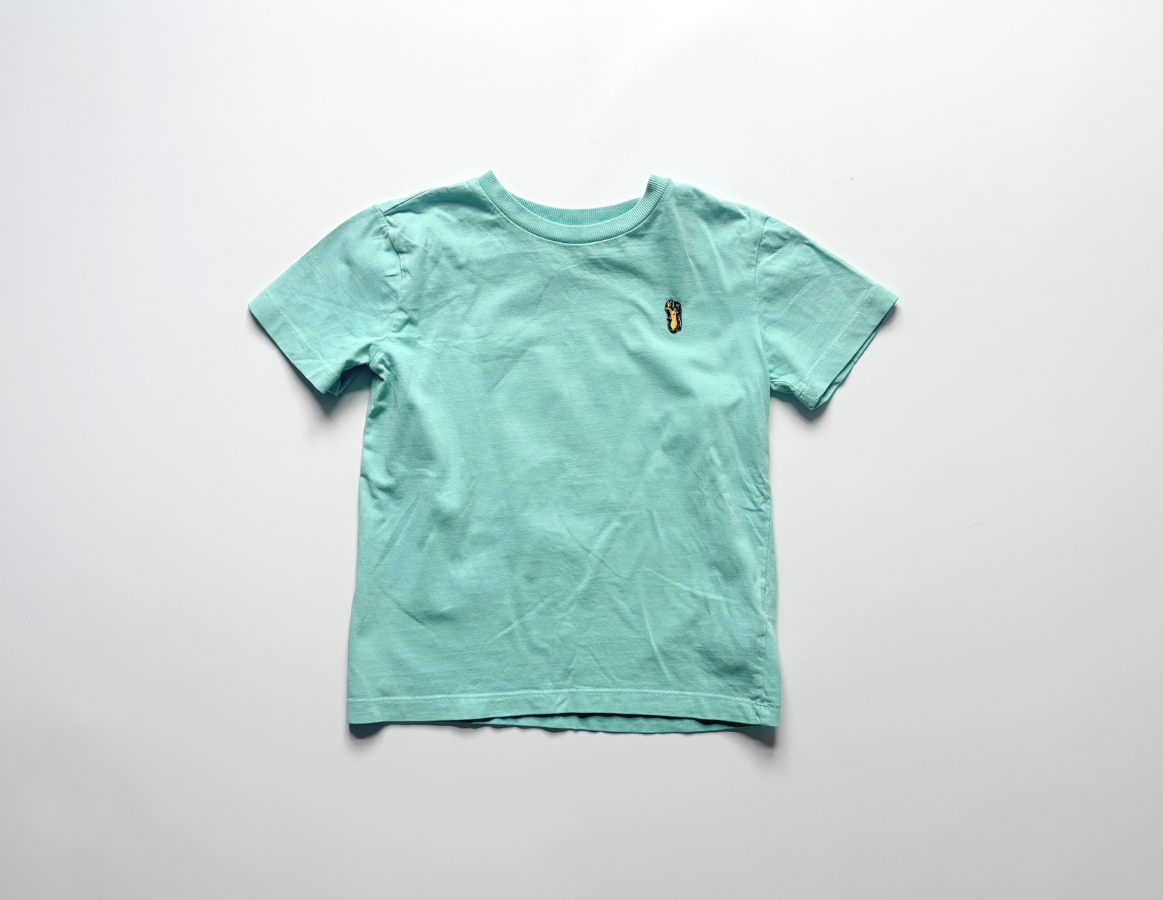 Next boys summer t-shirt