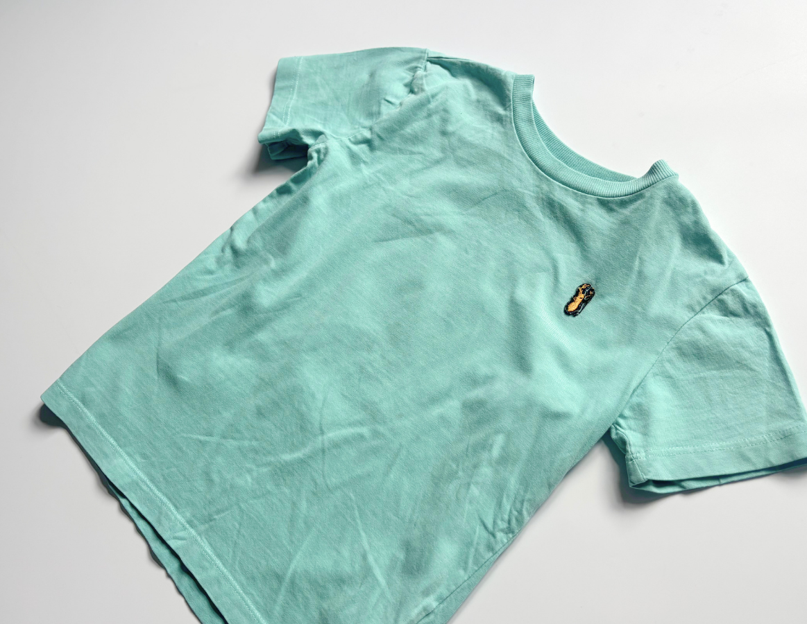 Next boys summer t-shirt