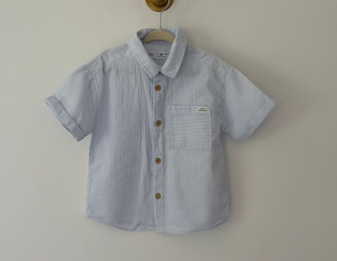 Zara Pinstripe Shirt
