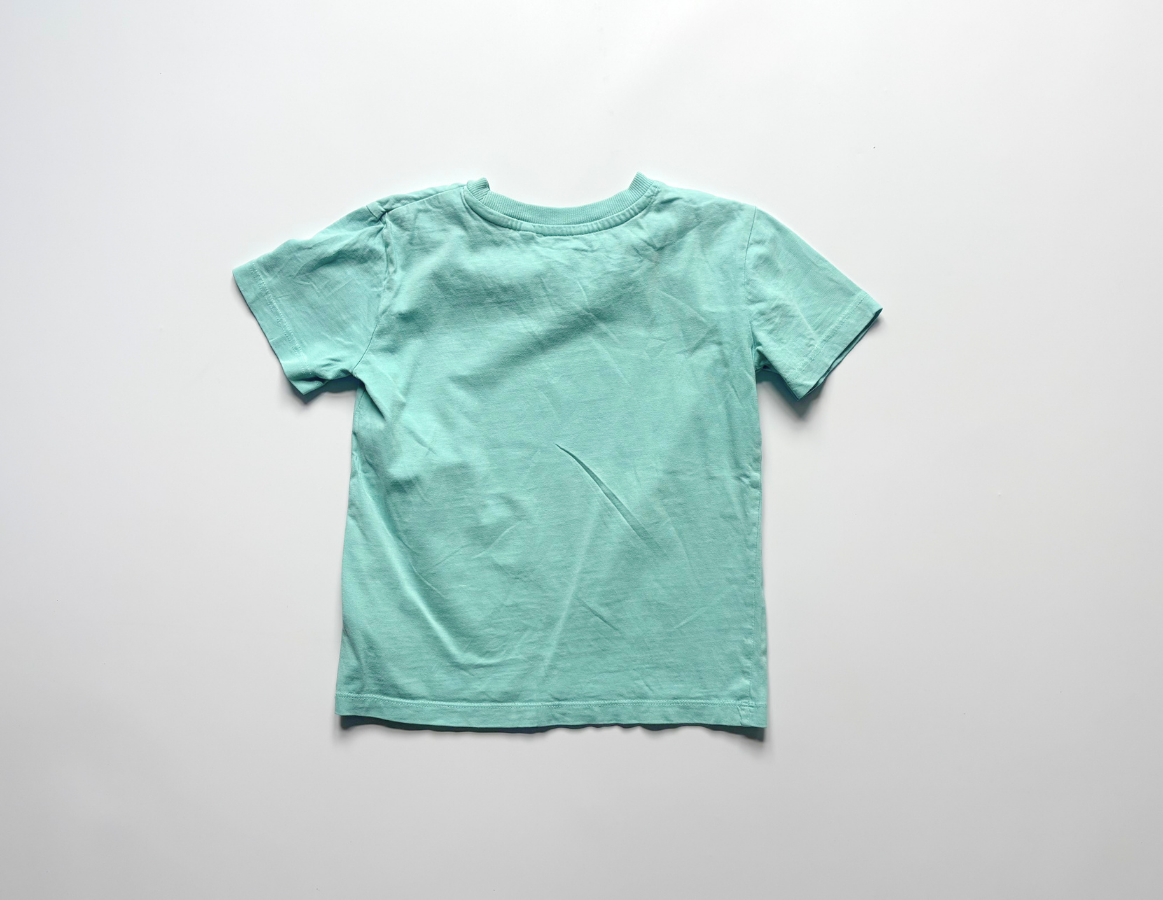 Next boys summer t-shirt