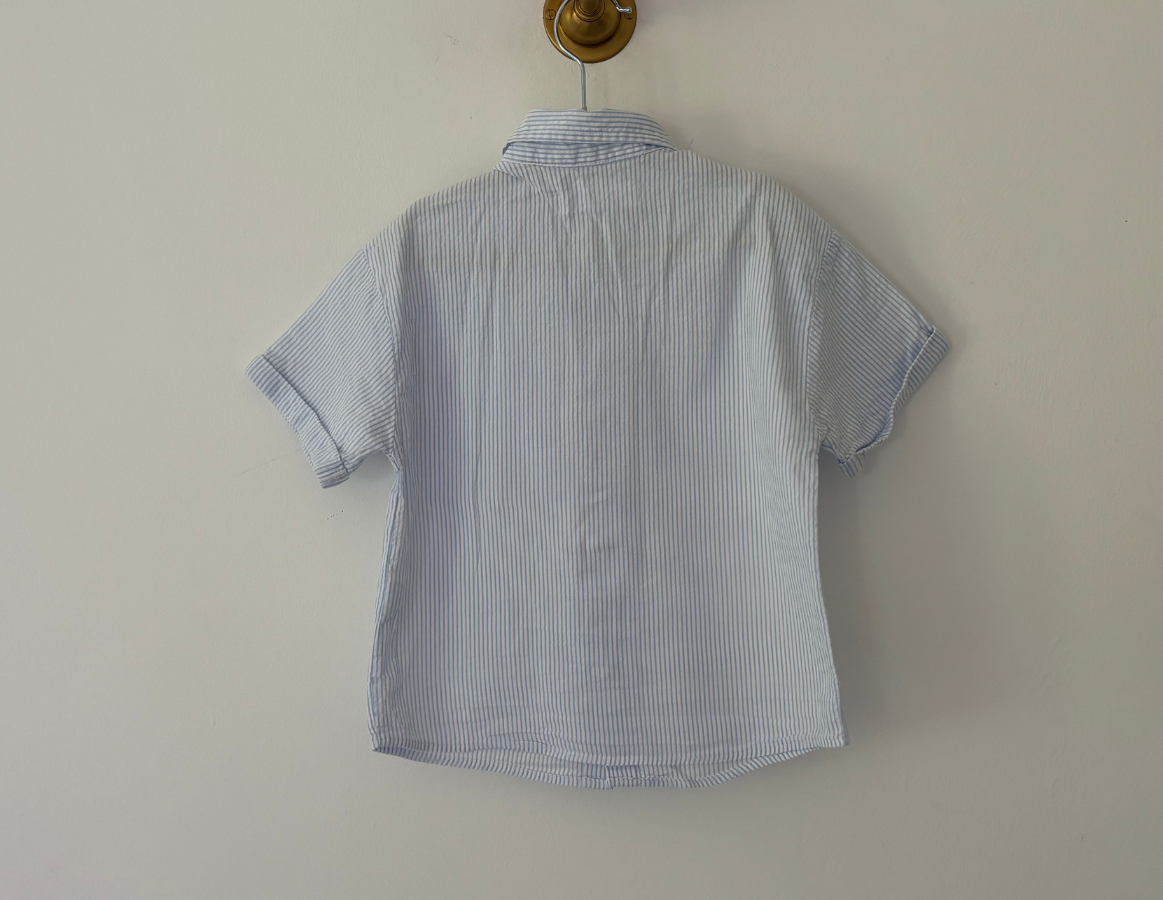 Zara Pinstripe Shirt