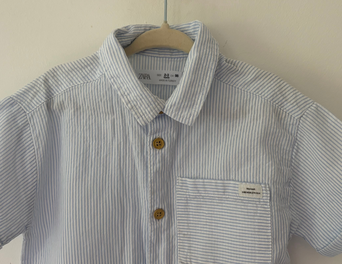 Zara Pinstripe Shirt