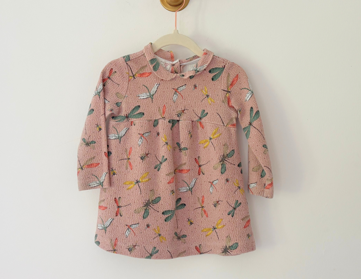 Zara Dragonfly Print Dress