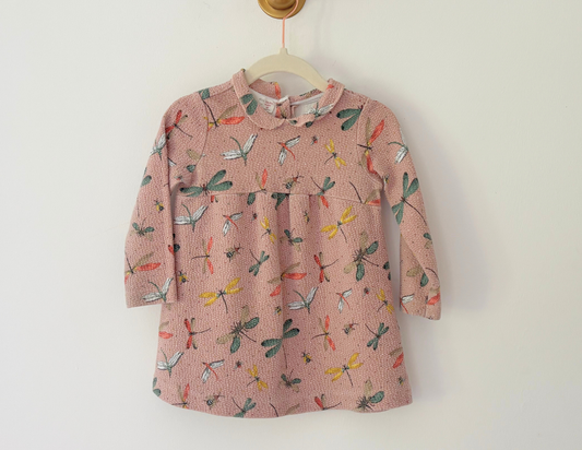 Zara Dragonfly Print Dress