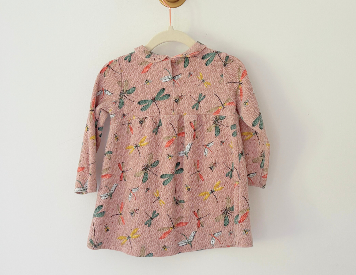 Zara Dragonfly Print Dress