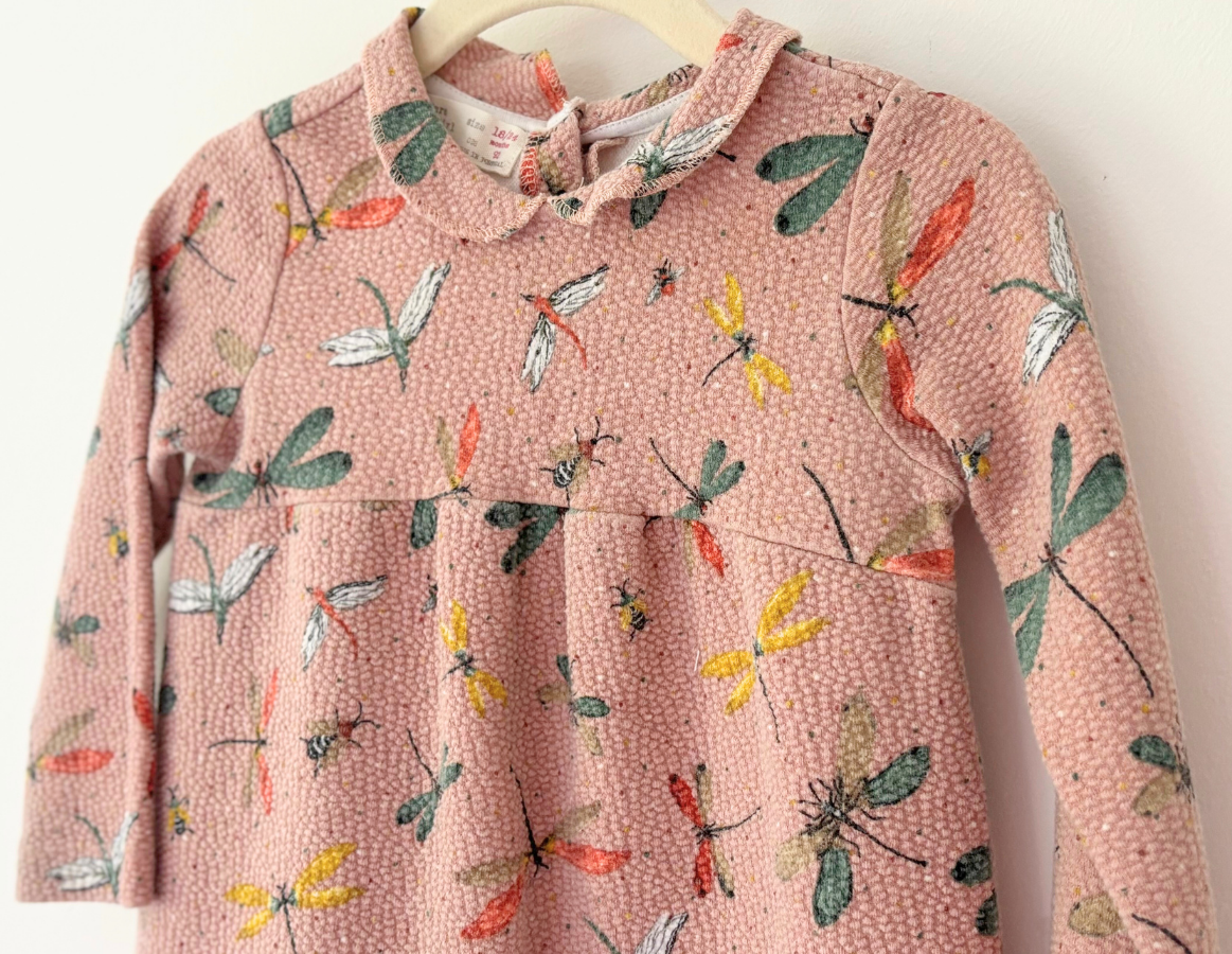 Zara Dragonfly Print Dress
