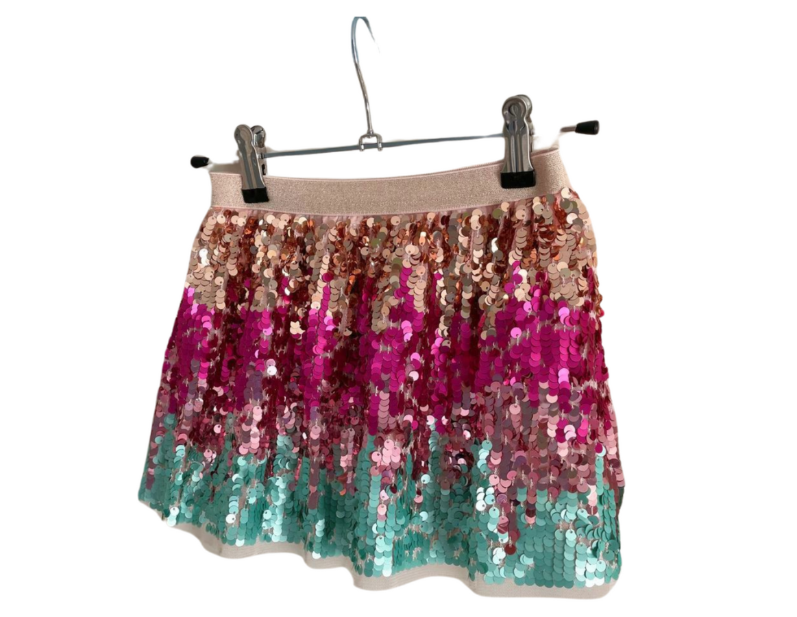 H&M Sequin Tulle Skirt