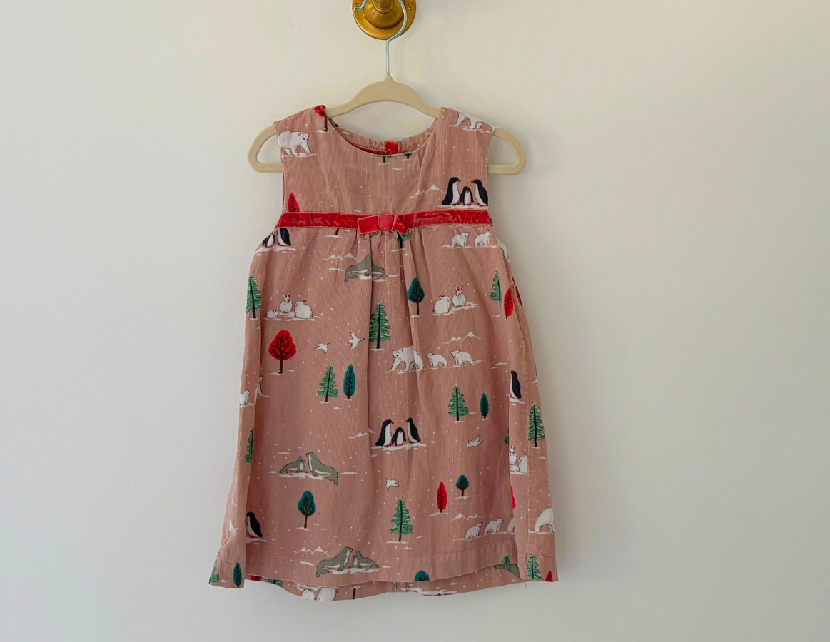 Mini Boden Winter Print Dress