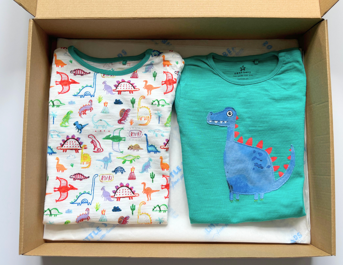 Next Boys Summer Romper Duo 9-12m