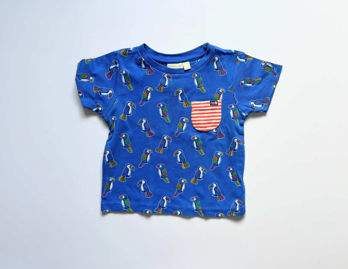Parrots & Pirates Boys Summer Selection 2-3y
