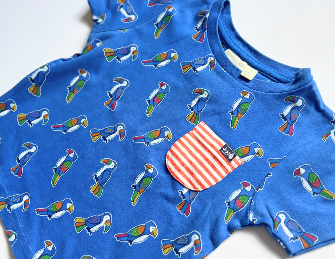 Parrots & Pirates Boys Summer Selection 2-3y