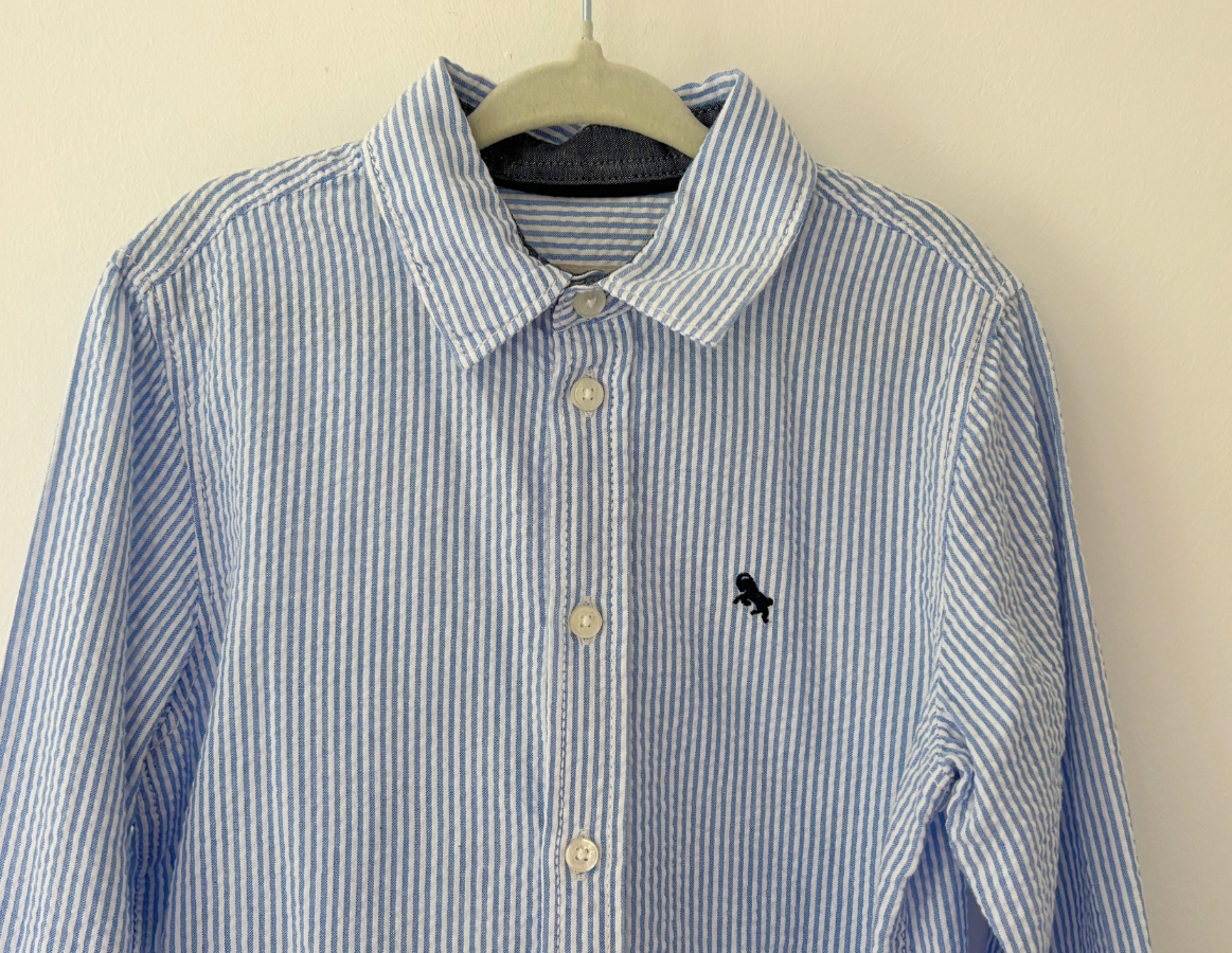 H&M Pinstripe Shirt